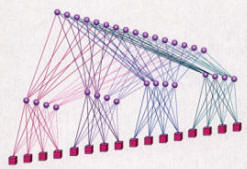 Ontology tree