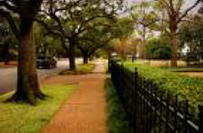Walk to school